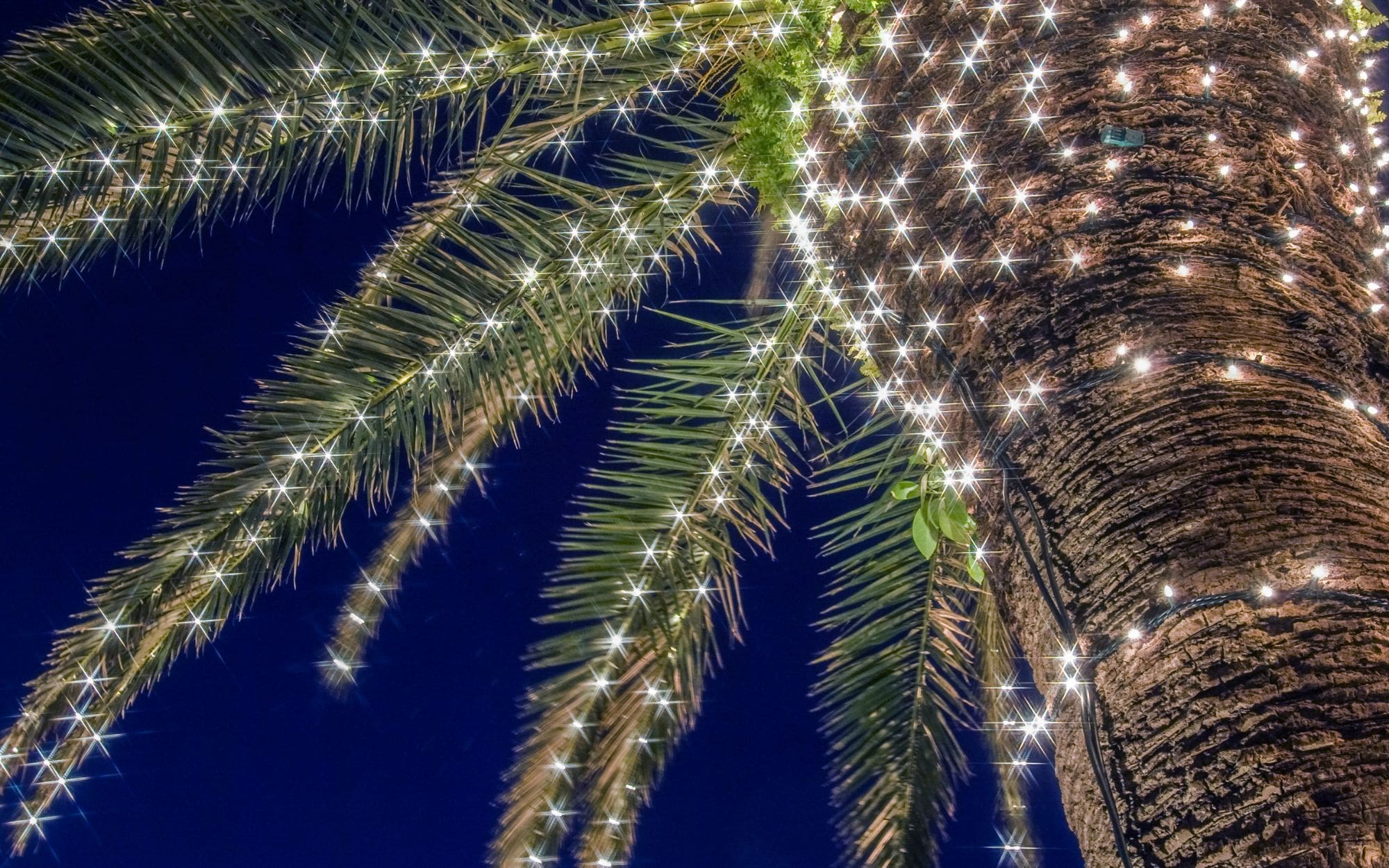 Real Estate Holiday Events Across Los Angeles: Celebrate, Network, and Give Back